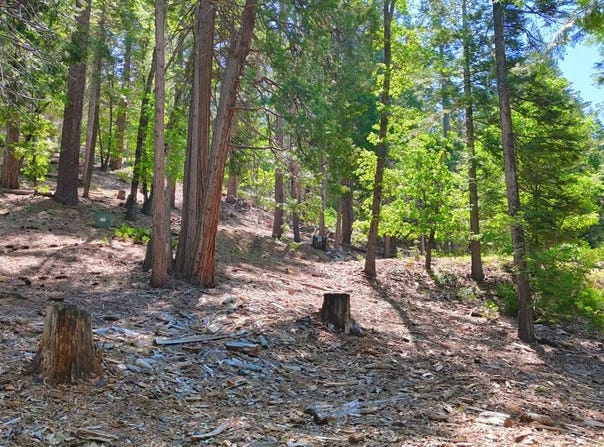 7220 Yosemite Park Way, Yosemite West, CA 95389