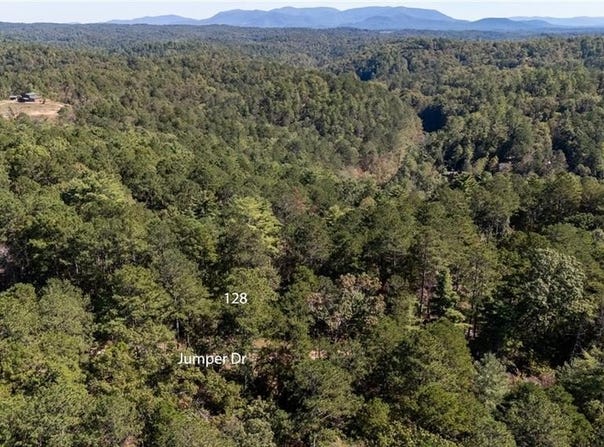 000 Jumper Drive, Ellijay, GA 30540