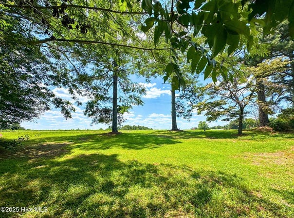 Tbd Old Us Hwy 701, Clinton, NC 28328