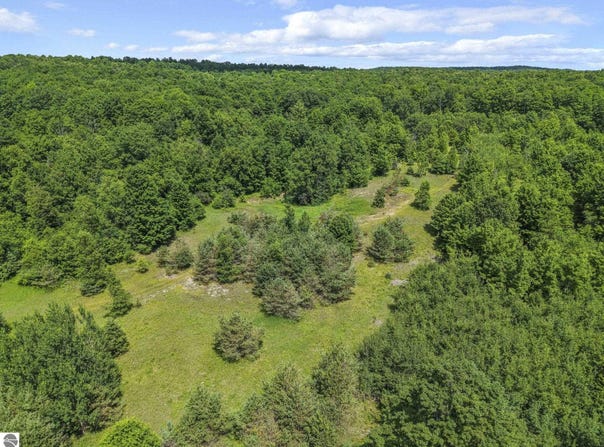 6320 N Morey Road, Lake City, MI 49651