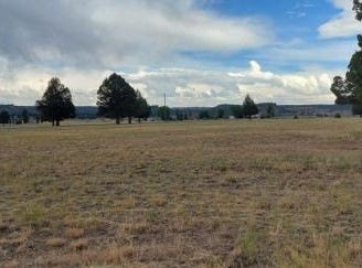 Lot 47 Blk 14, LU1B, Honey View Drive, Alturas, CA 96101