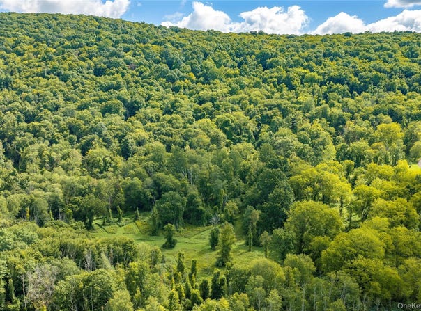 Route 22, Pawling, NY 12564