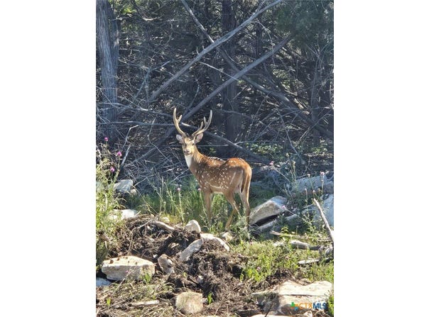 4950 County Road 110, Burnet, TX 78611