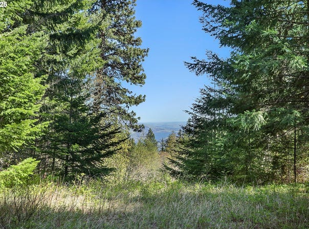 101 COOKE RD, White Salmon, WA 98672