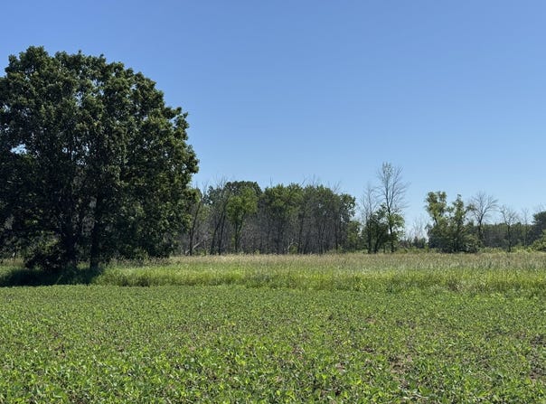 QUIGLEY Road, WINNECONNE, WI 54986