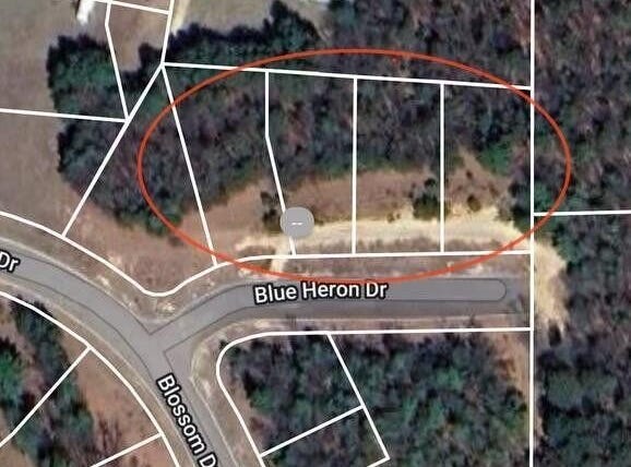 Lt1 Blue Heron Dr, Warrens, WI 54666