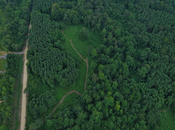 29 Ac Silo Road, Altoona, AL 35952