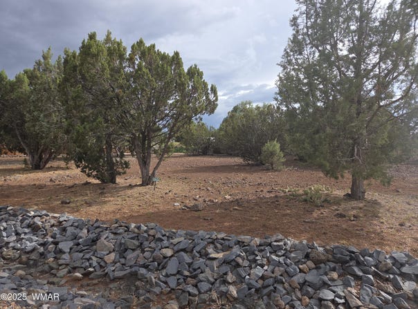 1936 Passage Drive, Show Low, AZ 85901