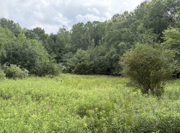 11546 E 3 1/2 Mile Road, Luther, MI 49656