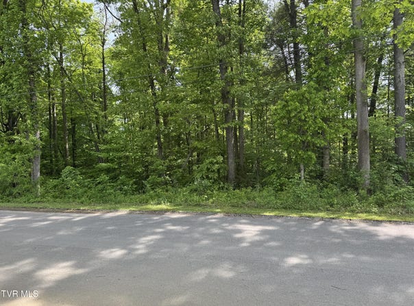 Parrish Drive lot: 5, Greeneville, TN 37743