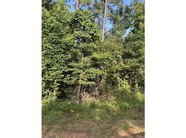 TBD CR 1060, Center, TX 75935