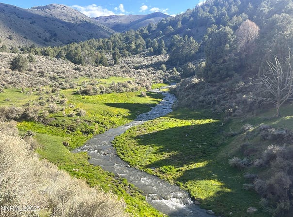 Mill Creek, Battle Mountain, NV 89820