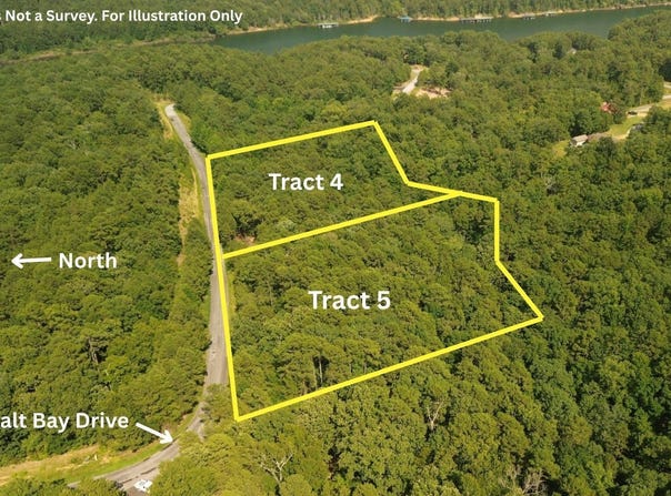 TBD Tract 3 Cobalt Bay, Shirley, AR 72153