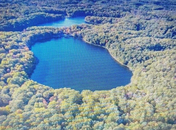 V/L Alpine Drive, Reed City, MI 49677