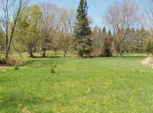Off CTH N, Glidden, WI 54527