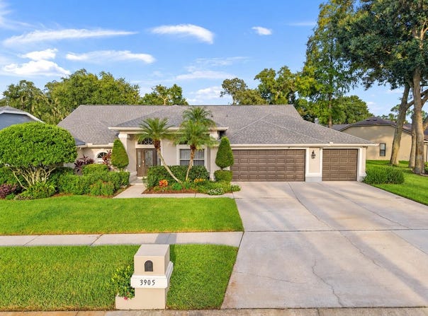 3905 NORTHRIDGE Drive, VALRICO, FL 33596