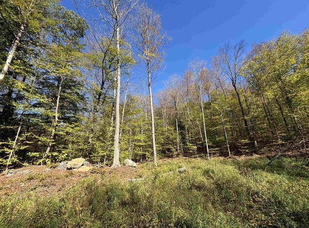 Quarry Road, Chester, VT 05143