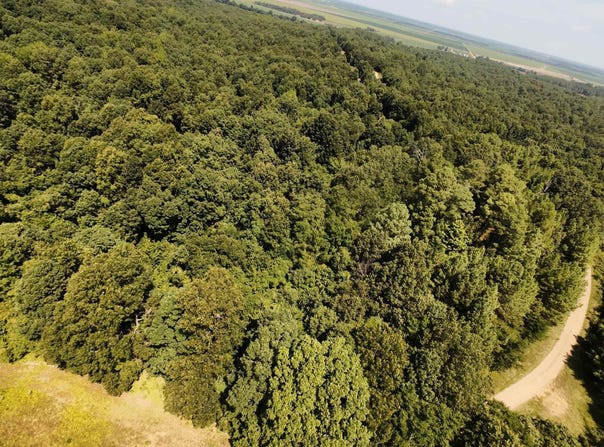2 CR 449, Pollard, AR 72456