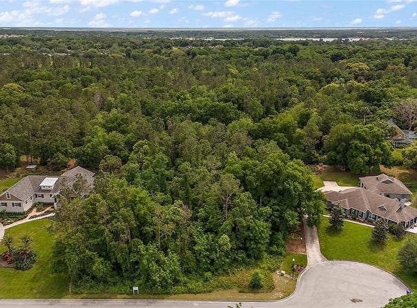 7077 NORNE LANE, MOUNT DORA, FL 32757