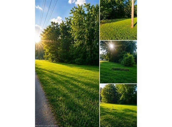 37 W 7th ST lot: 3, Mulberry, AR 72947