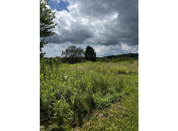 1998 Minor Road, West Liberty, KY 41472