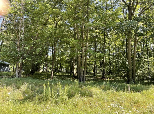 Questview Drive unit: #12, Houghton Lake, MI 48629