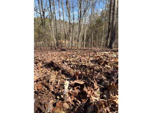TBD Joy Lane Parcel B, Mena, AR 71953-9999
