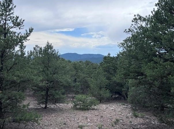 Lot 62 Upper Pinabete, Questa, NM 87556