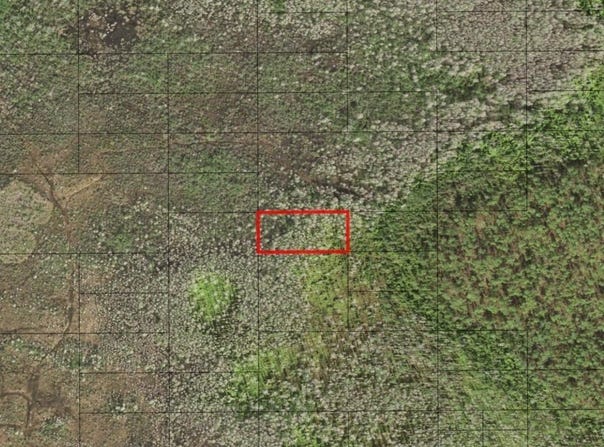Holopaw Groves Road, St. Cloud, FL 34772