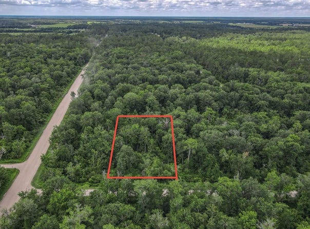 4001 EVERGREEN AVENUE, BUNNELL, FL 32110