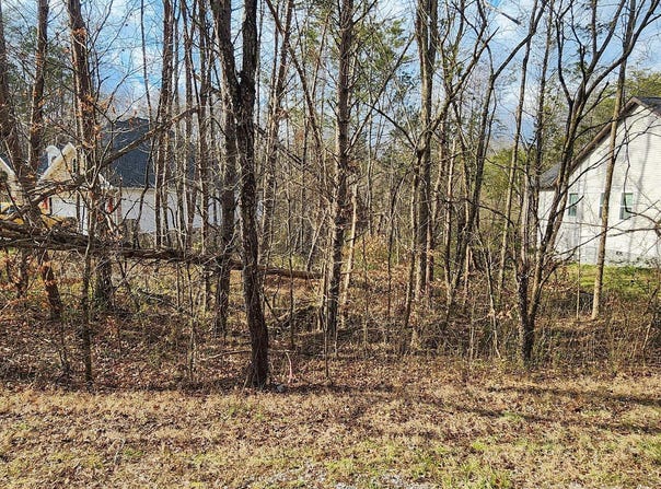 106 Elohi Lane, Loudon, TN 37774