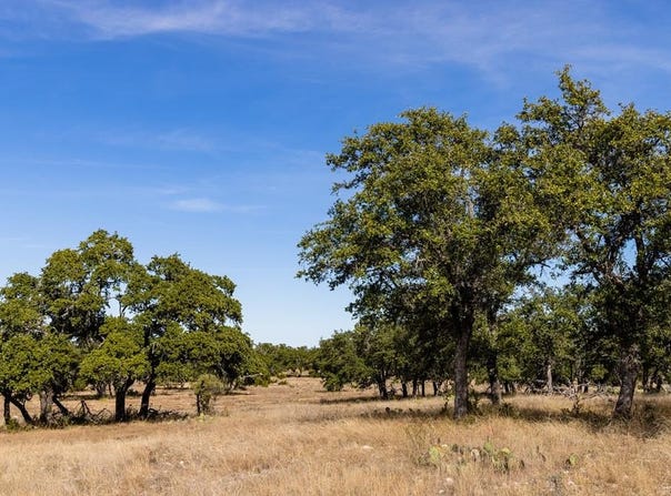 650 W Other, Roosevelt, TX 76849