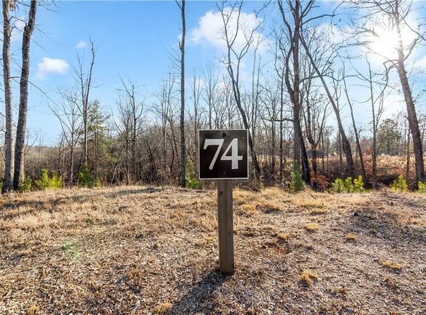 54 River Overlook Lane, Ellijay, GA 30540
