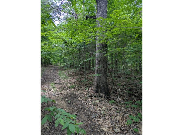 0 Coal Creek Road, Crofton, KY 42217