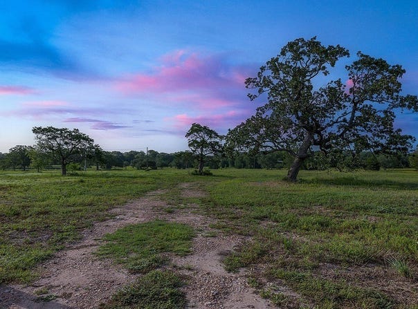 TBD Schoenst Road, Carmine, TX 78932
