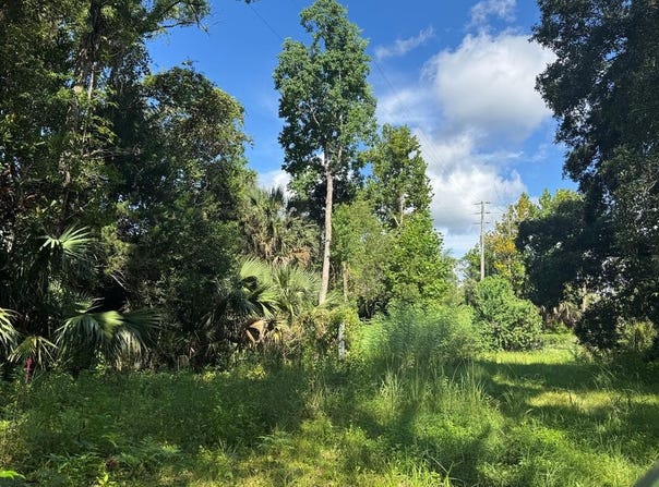 254 8th St, Apalachicola, FL 32320