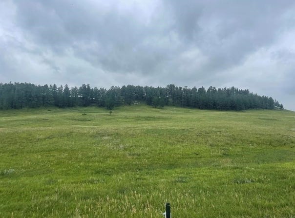 TBD Murphy Rd, Hermosa, SD 57744