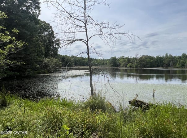 00 Bear Creek (Lot 2) Road, Pinson, TN 38366
