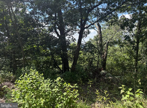 0 FIRE TOWER ROAD, GREAT CACAPON, WV 25422