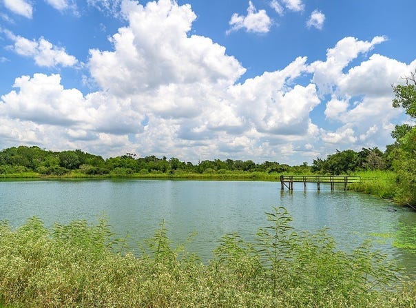 4900 Andreas Road, Round Top, TX 78954