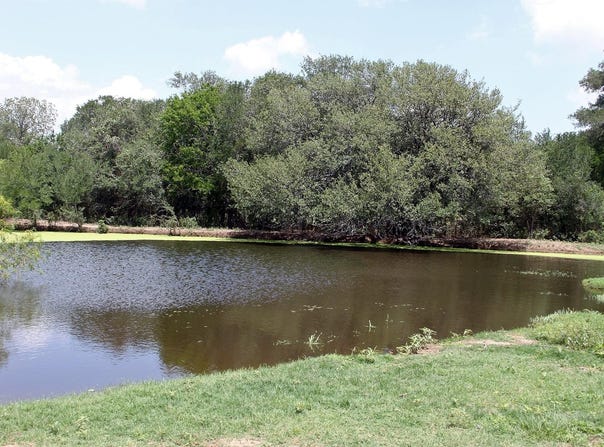9411 FM 86 Highway, Lockhart, TX 78644