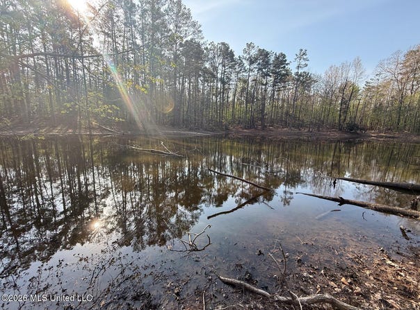 674 E J Henry Road, Grenada, MS 38901