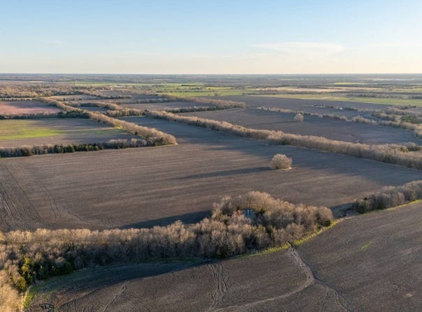000 Country Road 3240, Ben Franklin, TX 75415