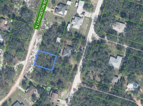 2840 LIVINGSTON ROAD, AVON PARK, FL 33825