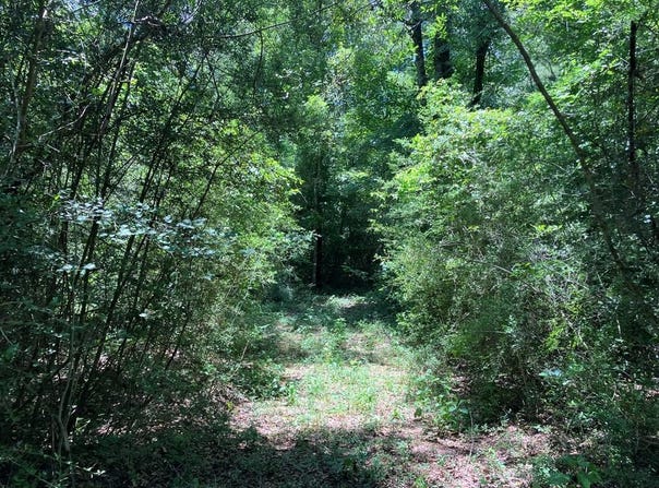 Hwy 48 lot: 1, Sandy Hook, MS 39667