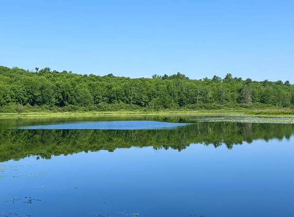 00LowerFal Lower Falls Road, Orland, ME 04472