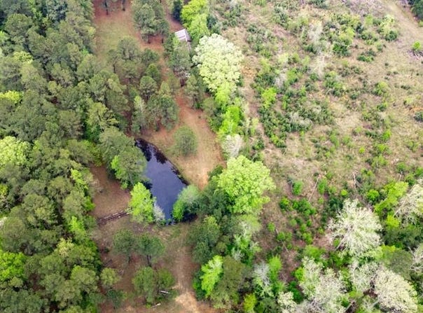 12023 Hwy 21, Douglass, TX 75943