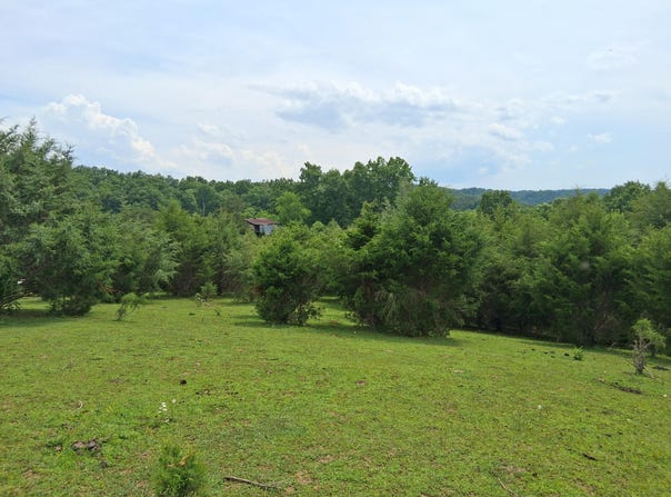Buford Rd., Bybee, TN 37713