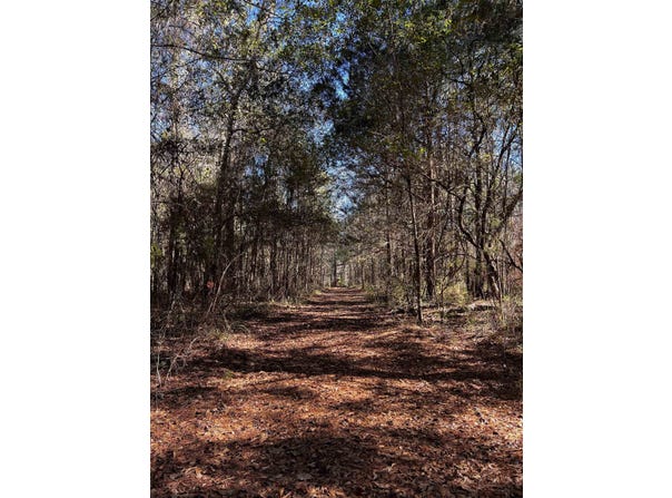 Hosford Highway, Quincy, FL 32351