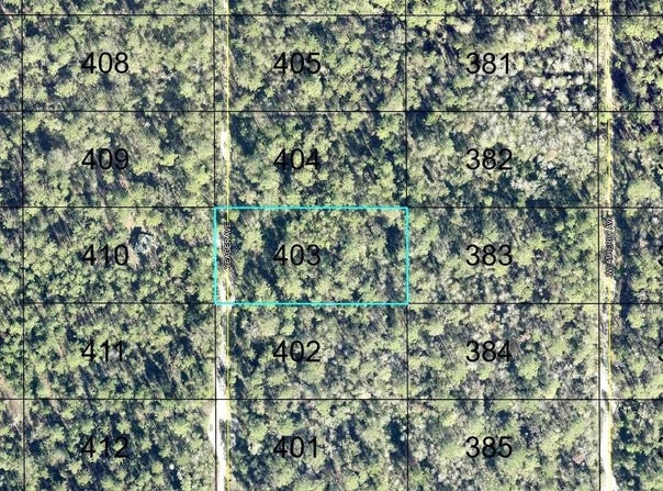 403 YEAGER AVENUE, HASTINGS, FL 32145